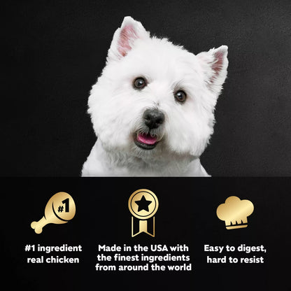 Cesar Classic Loaf in Sauce Grilled Chicken and Gravy Flavor Small Breed Wet Dog Food - 3.5Oz
