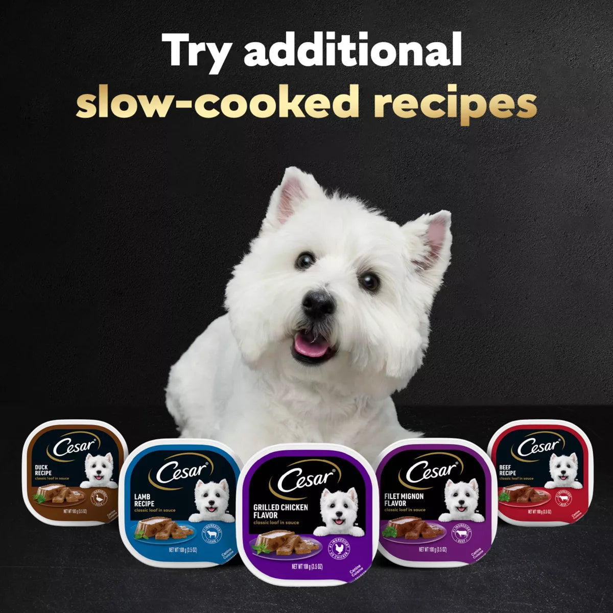 Cesar Classic Loaf in Sauce Grilled Chicken and Gravy Flavor Small Breed Wet Dog Food - 3.5Oz