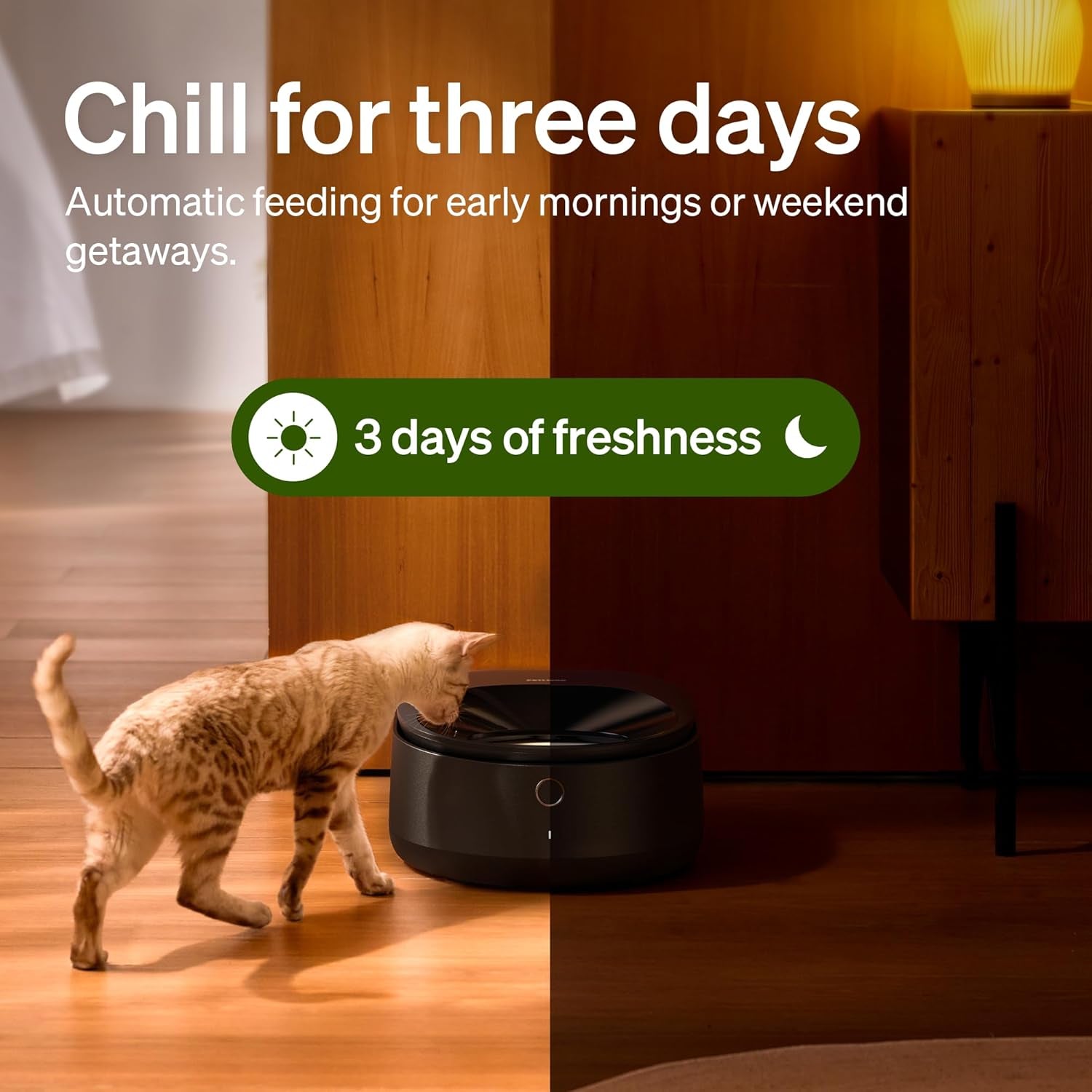 Automatic Wet Cat Feeder